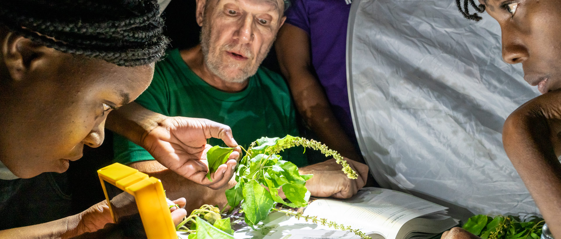 Gestao do Ambiente (Fonte: MTA)