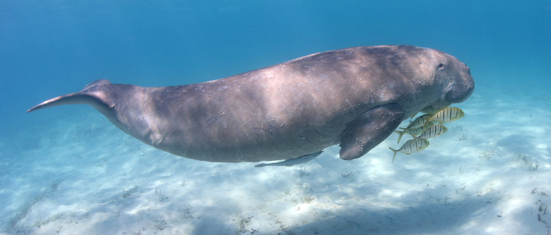 Gestao de Terra (Fonte: MTA)